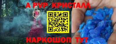 амф Кандалакша