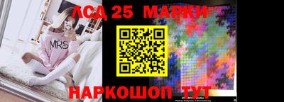 амф Кандалакша