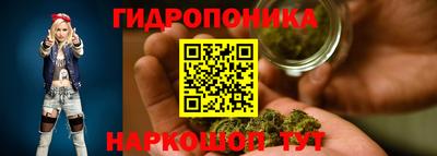 амф Кандалакша