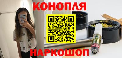 Альфа ПВП Камышлов