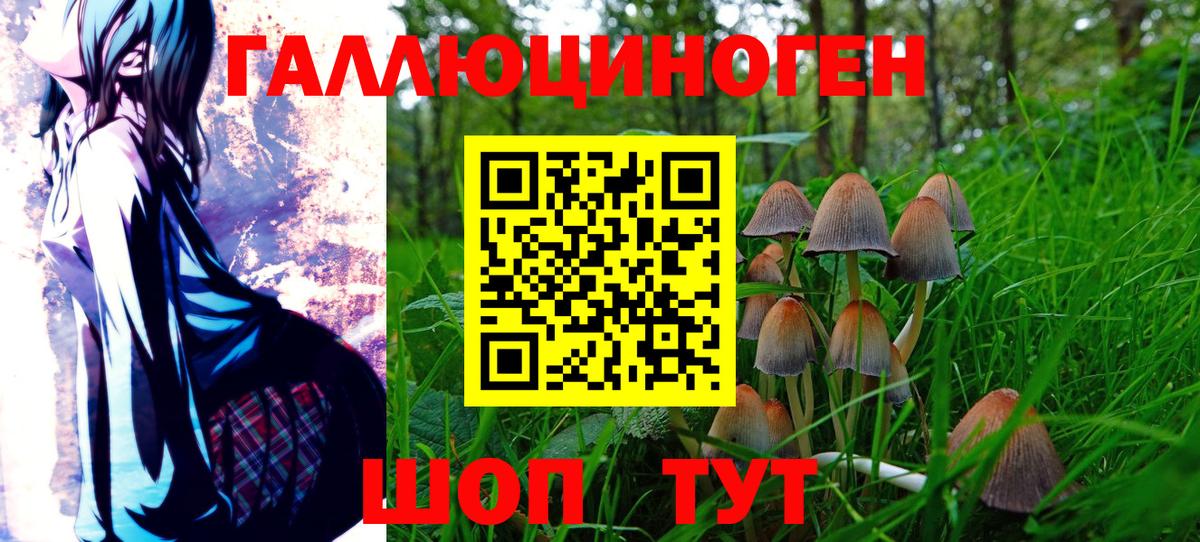 Кушва  Псилоцибиновые грибы ЛСД  Галлюциногенные грибы Magic Shrooms  Вход с VPN 